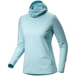 Arcteryx Rho Hoody Women's in Glissade